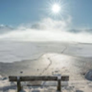 Meet your Posher, Lynn